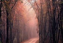 九游体育app-图卢兹客场不敌尼斯，遭遇两连败下滑排名