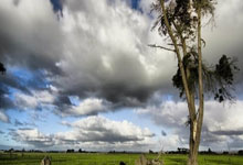 九游体育亚洲官网-斯图加特官方宣布换帅  新帅正式接任球队主帅一职，斯图加特足球俱乐部百科