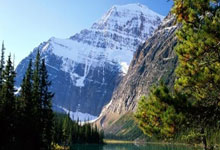 九游体育在线-沃尔夫斯堡神助攻，德甲晋级前景渐明朗，沃尔夫斯堡获得德甲冠军