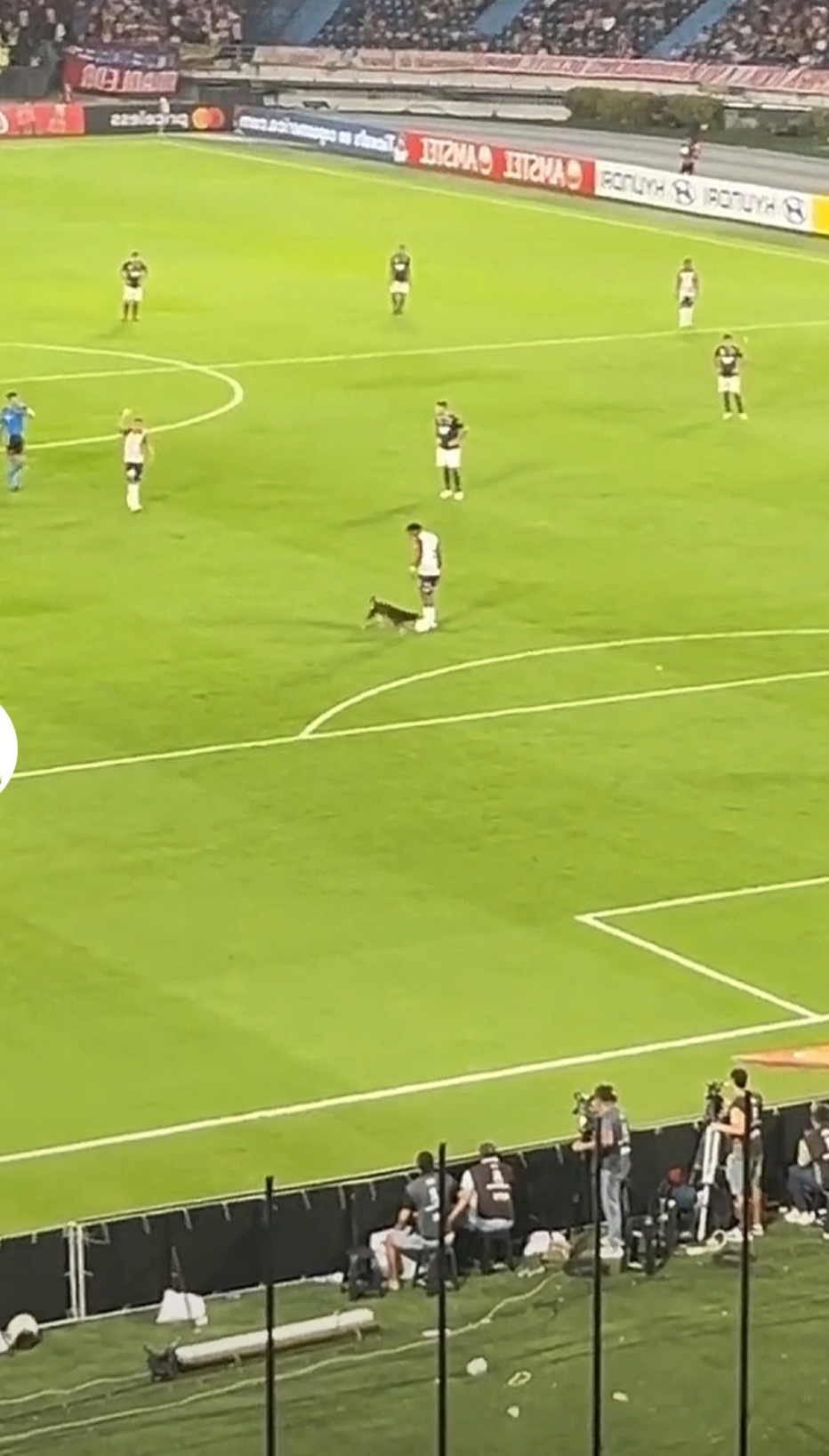 高水平的足球赛事让球迷们沉浸在激烈角逐中的简单介绍