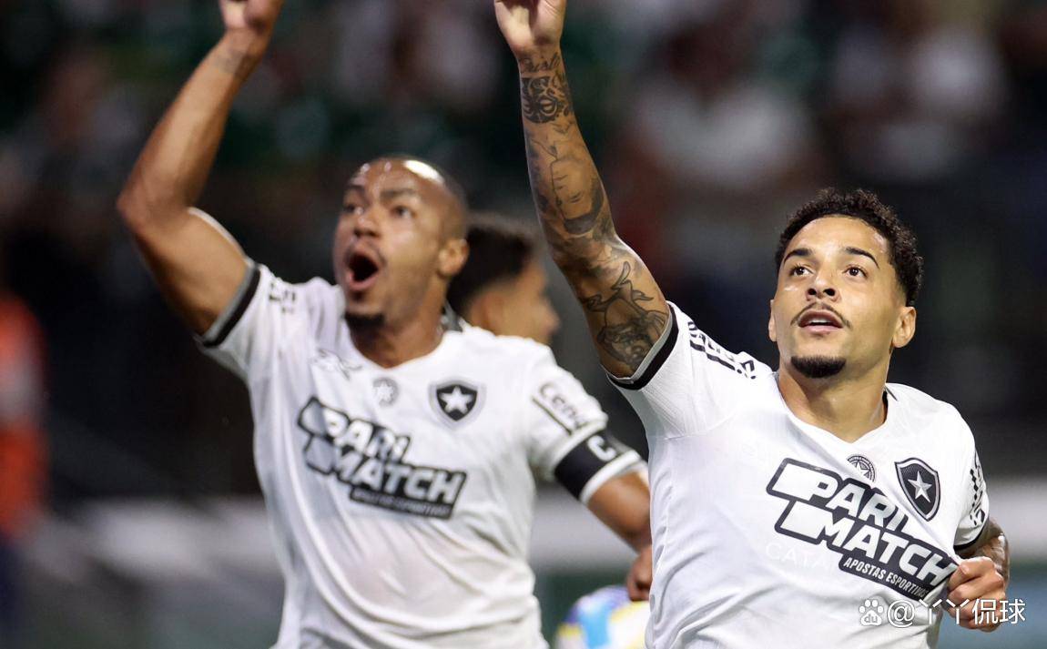 包含西雅图海湾突出在战斗中展现出色的词条